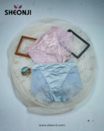 FANCY PANTIE BACK NET FRONT SMOTH SILK - Image 2